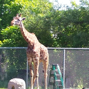 Toronto Zoo - Zoos Near Me - Toronto, Ontario Toronto Zoo - Zoos Near Me - Toronto, Ontario