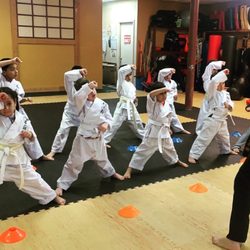 Warriors dojo