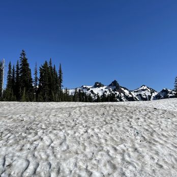 Mt Rainier - A lot of snowy dirty slush - Climbing Near Me Mt Rainier - A lot of snowy dirty slush - Climbing Near Me