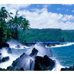 Fisher Travel