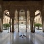 Photo of La Alhambra y El Generalife