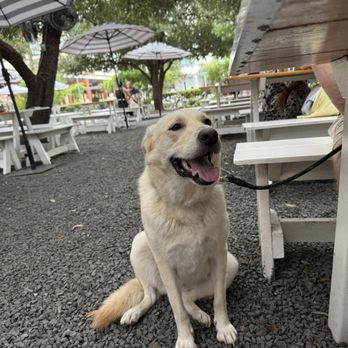 Down On Grayson - Patio, Pet Friendly - New American Near Me - San Antonio, Texas Down On Grayson - Patio, Pet Friendly - New American Near Me - San Antonio, Texas