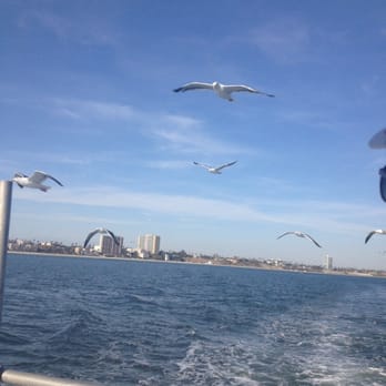 Harbor Breeze - Boat Charters Near Me - Long Beach, California