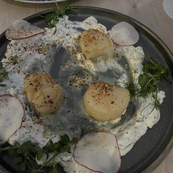 Zaytinya - Scallops - Greek Near Me - Washington, DC, District of Columbia Zaytinya - Scallops - Greek Near Me - Washington, DC, District of Columbia