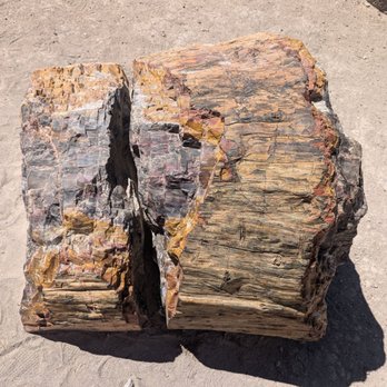 Escalante Petrified Forest State Park - Parks Near Me - Escalante, Utah