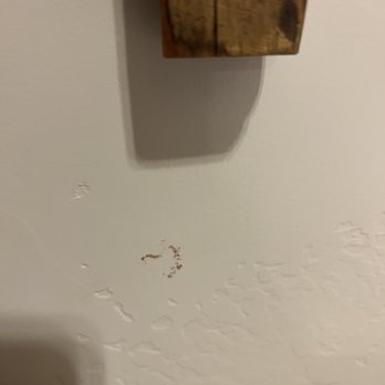 Big Rock Candy Mountain Resort - Blood stain that was already there from bedbugs - Hotels Near Me - Marysvale, Utah Big Rock Candy Mountain Resort - Blood stain that was already there from bedbugs - Hotels Near Me - Marysvale, Utah