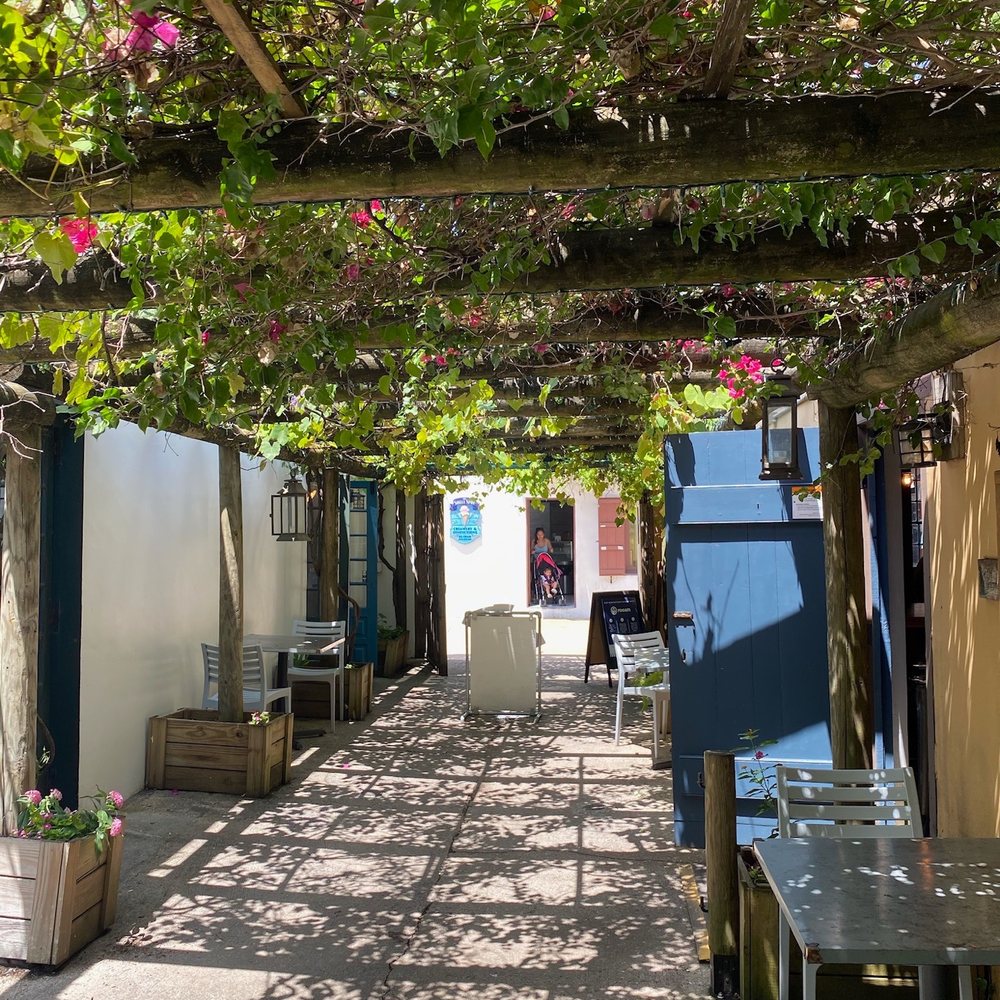 City of St Augustine - Grape vines - Landmarks & Historical Buildings Near Me - Saint Augustine, Florida