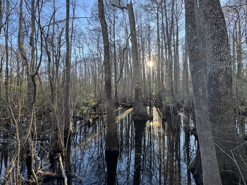 Waccamaw National Wildlife Refuge