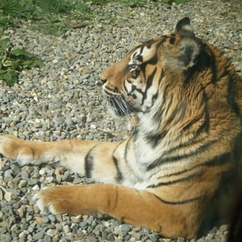 Dublin Zoo - Zoos Near Me - Dublin, D Dublin Zoo - Zoos Near Me - Dublin, D