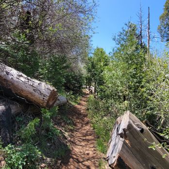 Cuyamaca Peak - Hiking Near Me - Descanso, California Cuyamaca Peak - Hiking Near Me - Descanso, California