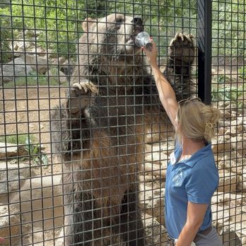 Cheyenne Mountain Zoo - Zoos Near Me - Colorado Springs, Colorado Cheyenne Mountain Zoo - Zoos Near Me - Colorado Springs, Colorado