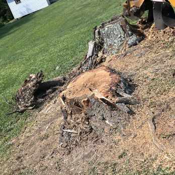 Wades Tree And Stump Removal - 2 stumps - Tree Services Near Me Wades Tree And Stump Removal - 2 stumps - Tree Services Near Me