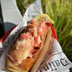 Lobster West - Epic lobster roll. Always a must when in the area.