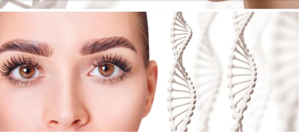Aloha Brows Logo