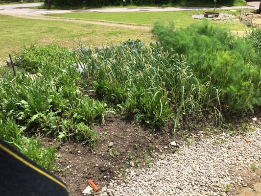 Burghotel Bären by null