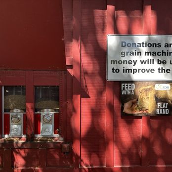 Orange County Zoo - Bring quarters to feed the goats - Zoos Near Me - Orange, California Orange County Zoo - Bring quarters to feed the goats - Zoos Near Me - Orange, California