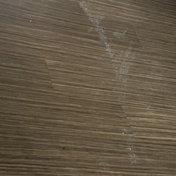 Flamingo Las Vegas - Sticky and dirty floor that even wearing socks felt gross to walk on! - Hotels Near Me - Las Vegas, Nevada Flamingo Las Vegas - Sticky and dirty floor that even wearing socks felt gross to walk on! - Hotels Near Me - Las Vegas, Nevada