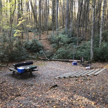 Mount Rogers National Recreation Area - Camp site at bear tree campground - Parks Near Me - Marion, Virginia Mount Rogers National Recreation Area - Camp site at bear tree campground - Parks Near Me - Marion, Virginia