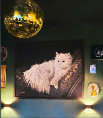 The Tiny Pony Tavern by null The Tiny Pony Tavern by null
