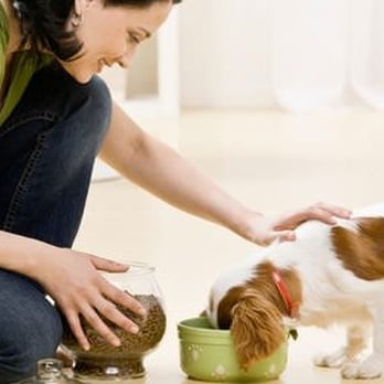Creation's Care Pet Sitting - Pet Sitting Visit within Five Mile Service Area - Dog Walkers Near Me Creation's Care Pet Sitting - Pet Sitting Visit within Five Mile Service Area - Dog Walkers Near Me