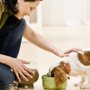 Photo of Creation's Care Pet Sitting