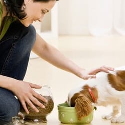 Creation's Care Pet Sitting - Pet Sitting Visit within Five Mile Service Area