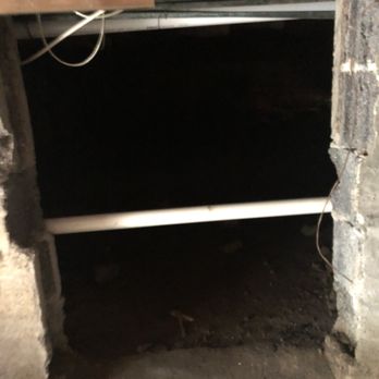Power Pests - Power Pests Does not only into the crawlspace but deep into the darkness to solve the problem! - Pest Control Near Me - Newtown, Pennsylvania Power Pests - Power Pests Does not only into the crawlspace but deep into the darkness to solve the problem! - Pest Control Near Me - Newtown, Pennsylvania