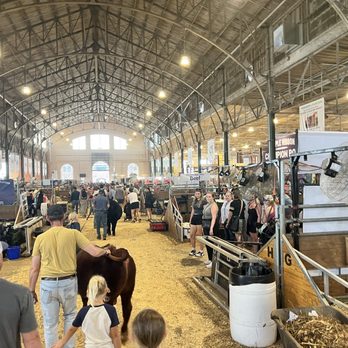 Minnesota State Fair - Livestock barn - Festivals Near Me - Saint Paul, Minnesota Minnesota State Fair - Livestock barn - Festivals Near Me - Saint Paul, Minnesota