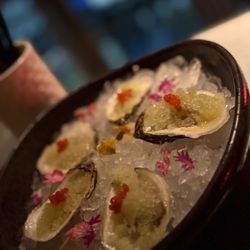 Counter Reformation - Oysters