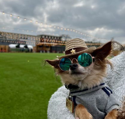 Fetch Park Buckhead by null