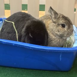 Fiona and lil bear. The sweetest pair