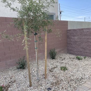 All American Landscape - Landscaping Near Me - Las Vegas, Nevada