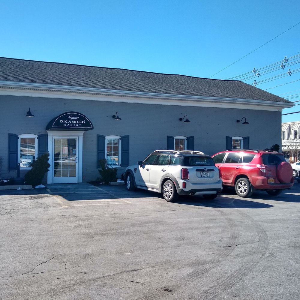 DiCamillo Bakery - Donuts for the cat-sitting grandparents. :-D - Bakeries Near Me - Williamsville, New York DiCamillo Bakery - Donuts for the cat-sitting grandparents. :-D - Bakeries Near Me - Williamsville, New York