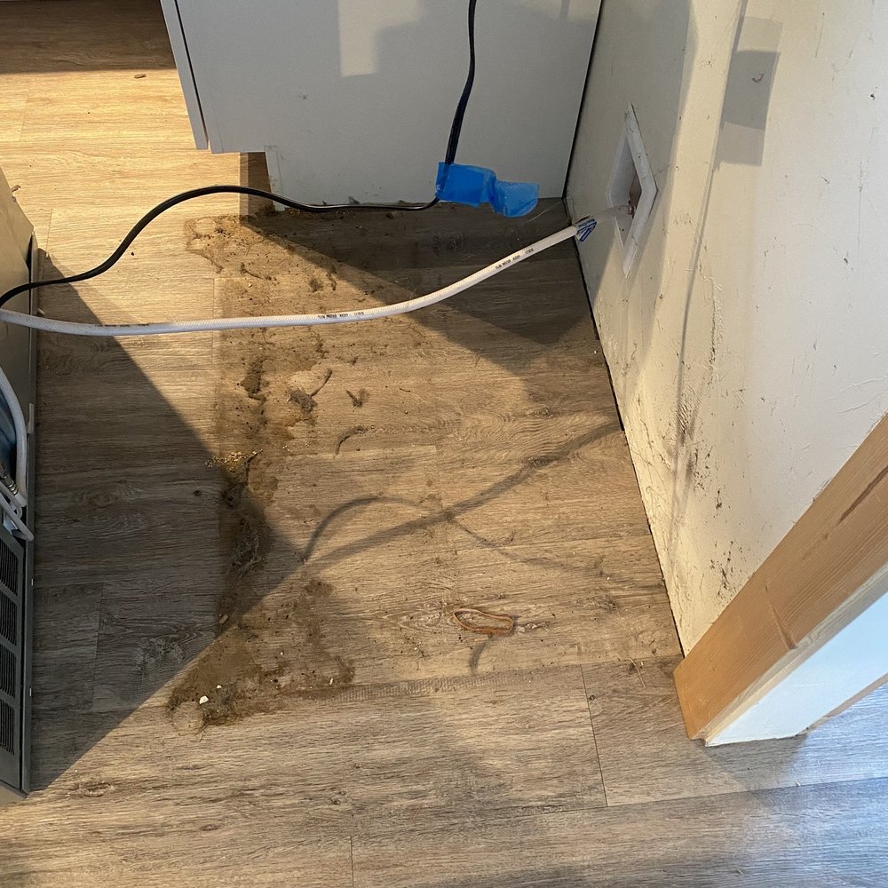 Bless This Mess - Home Cleaning Near Me