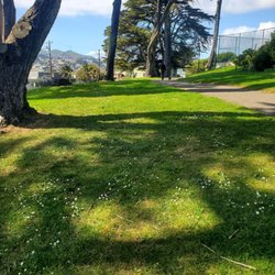 Holly Park - Fierce spring breeze!