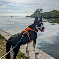 Clam Bayou Nature Park