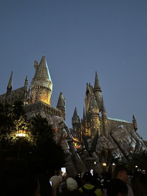 The Wizarding World of Harry Potter by null