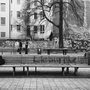 Photo of Starplatz