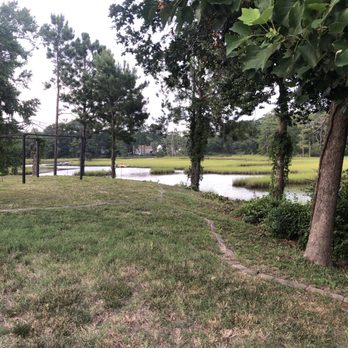 Smith's Tree Care - After the clean up - Tree Services Near Me - Newport News, Virginia