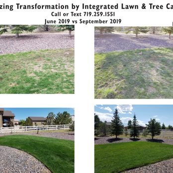 Integrated Lawn Care - It apparently had not had much love for some time while the home we bought two years ago was a rental. - Tree Services Near Me - Colorado Springs, Colorado Integrated Lawn Care - It apparently had not had much love for some time while the home we bought two years ago was a rental. - Tree Services Near Me - Colorado Springs, Colorado