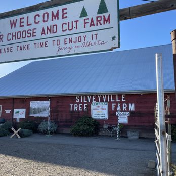Silveyville Christmas Tree Farm - Christmas Trees Near Me - Dixon, California Silveyville Christmas Tree Farm - Christmas Trees Near Me - Dixon, California