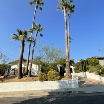 Lopez Tree Service - Tree Services Near Me Lopez Tree Service - Tree Services Near Me