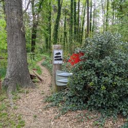 Campbell Creek Park - Campbell Creek Park, Charlotte