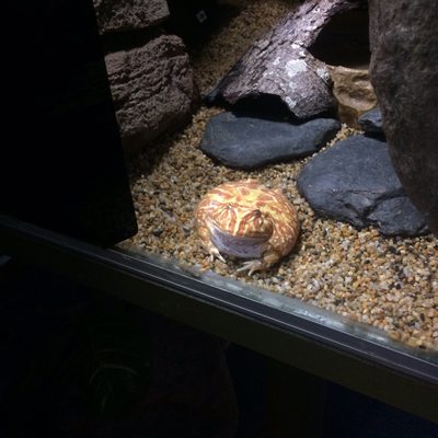 Underwater World Langkawi by null