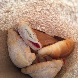 We had the bag full & these are the ONLY pieces we have left & we just left the panadería five minutes ago. We had the bag full & these are the ONLY pieces we have left & we just left the panadería five minutes ago.