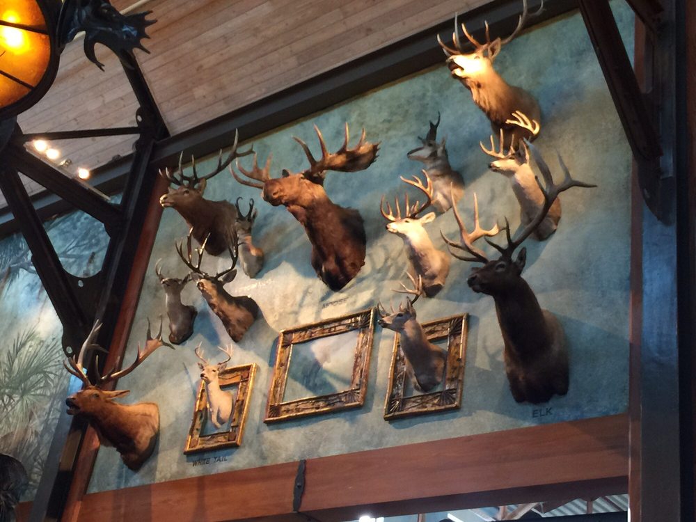 Naturesway Taxidermy - taxidermy in Troy, NY