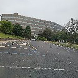 KENTUCKY OFFICE OF VITAL STATISTICS - 275 E Main St, Frankfort