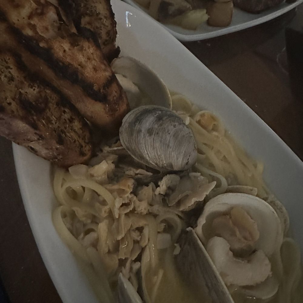 Sogno Restaurant - Linguini and clams - Wine Bars Near Me - St. Augustine, Florida Sogno Restaurant - Linguini and clams - Wine Bars Near Me - St. Augustine, Florida