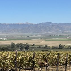 Taste Morgan - This is the view of the mountains from the Morgan Vineyard.  You can see the Pinnacles!