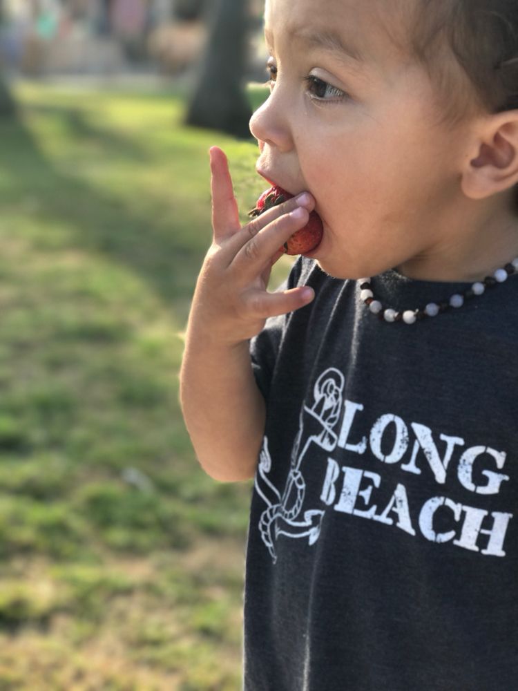 ANCHOR HOME SUPPORT Updated September 2024 11 Photos Long Beach